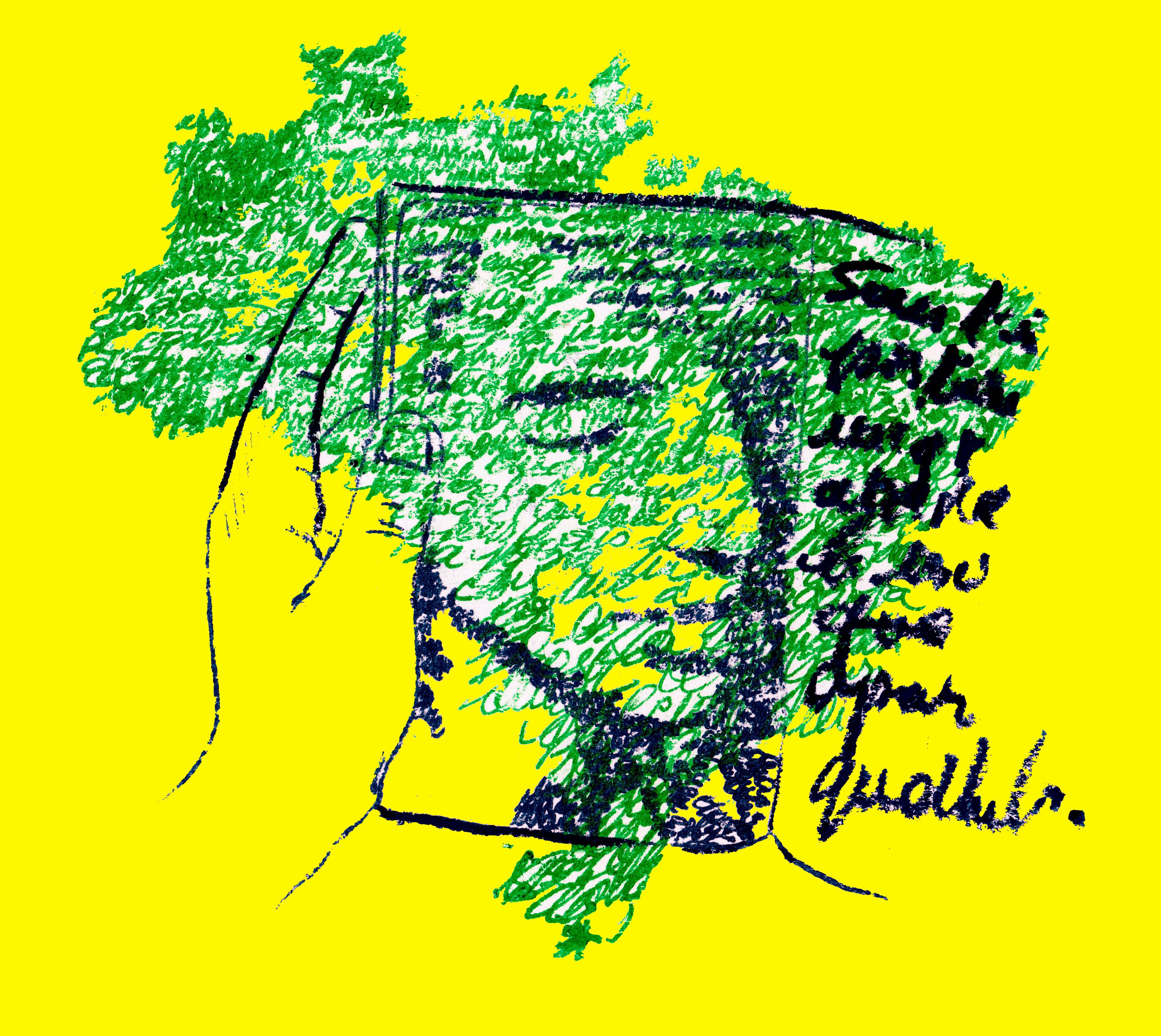 Un siècle de poésie brésilienne image image