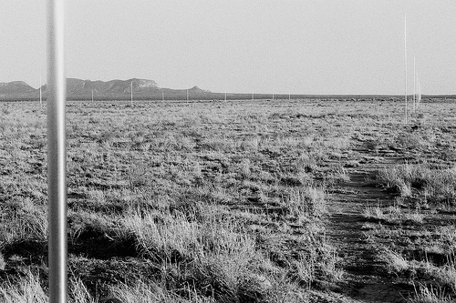 Photographie (2002) du Lightning Field de Walter de Maria, 1977.