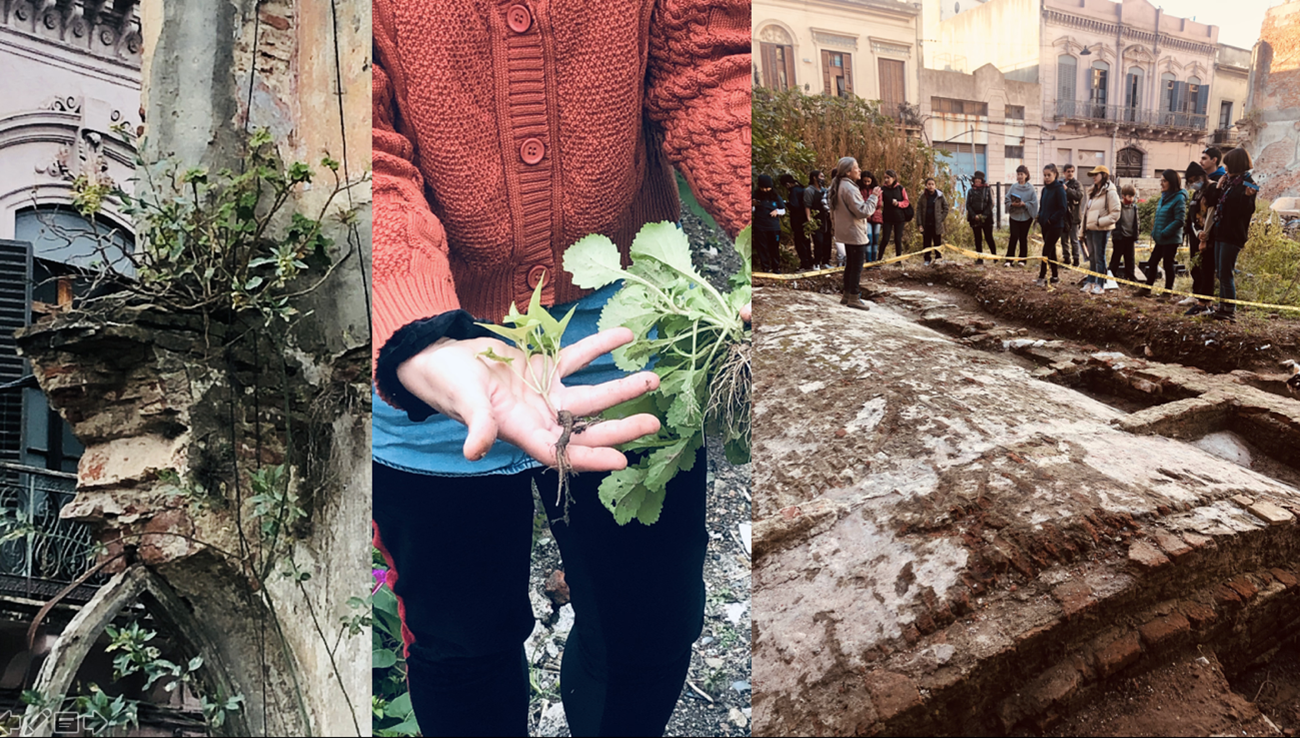 Raíces en los Muros (Roots on the walls), Community gardens in urban vacant plots. Reactor 2022.