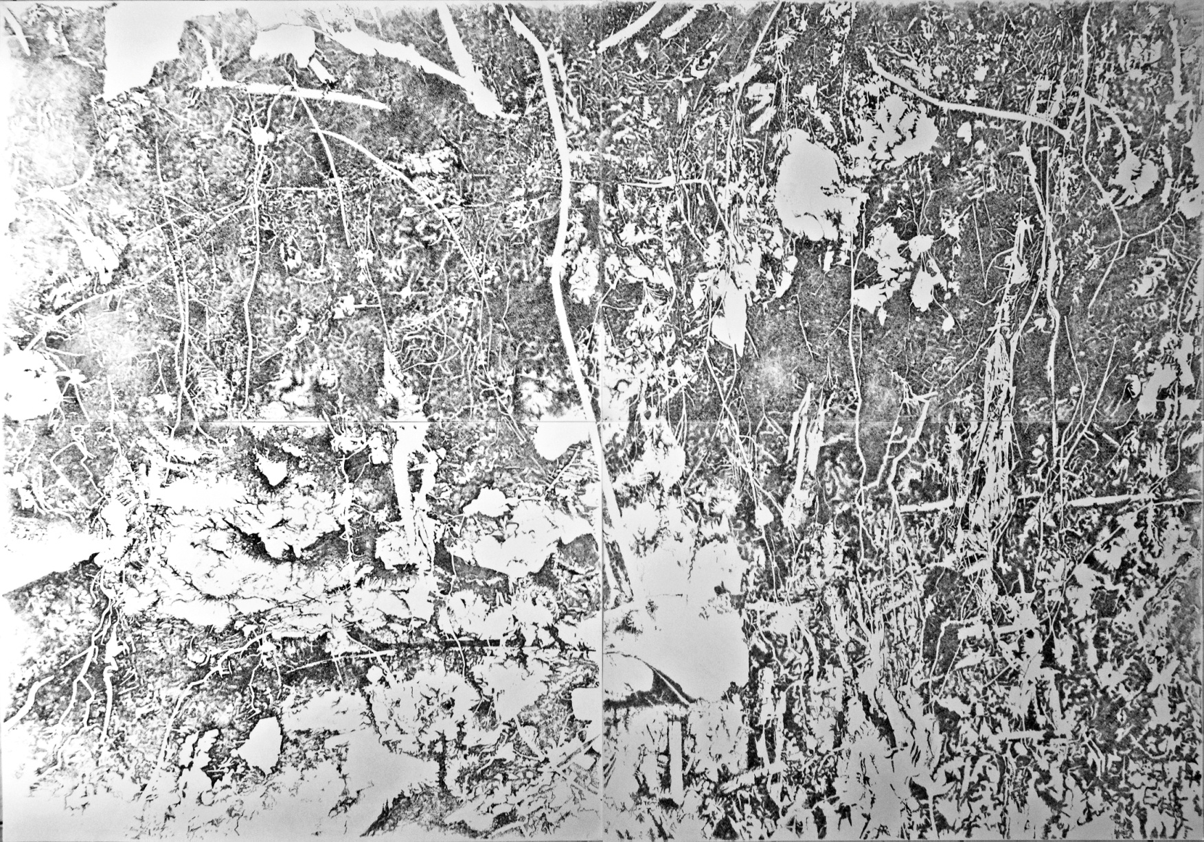 “Heady Roots” - Polyptyque. Quatre dessins à l’encre de Chine et feutres noirs sur papier, 200 x 140 cm, 2016.