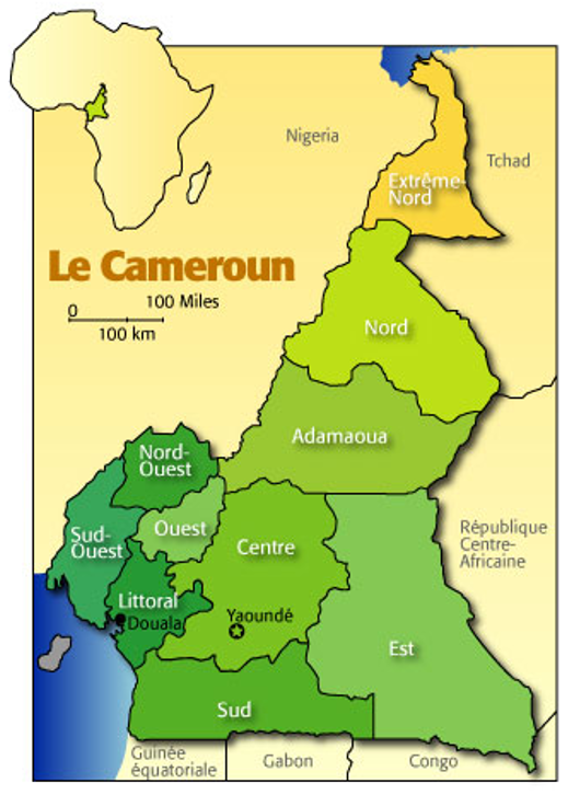 Source : « Les Nations-Unies au Cameroun », Site hébergé par le PNUD (Dernière visite le 18 février 2019)